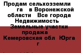 Продам сельхозземли ( 6 000 га ) в Воронежской области - Все города Недвижимость » Земельные участки продажа   . Кемеровская обл.,Юрга г.